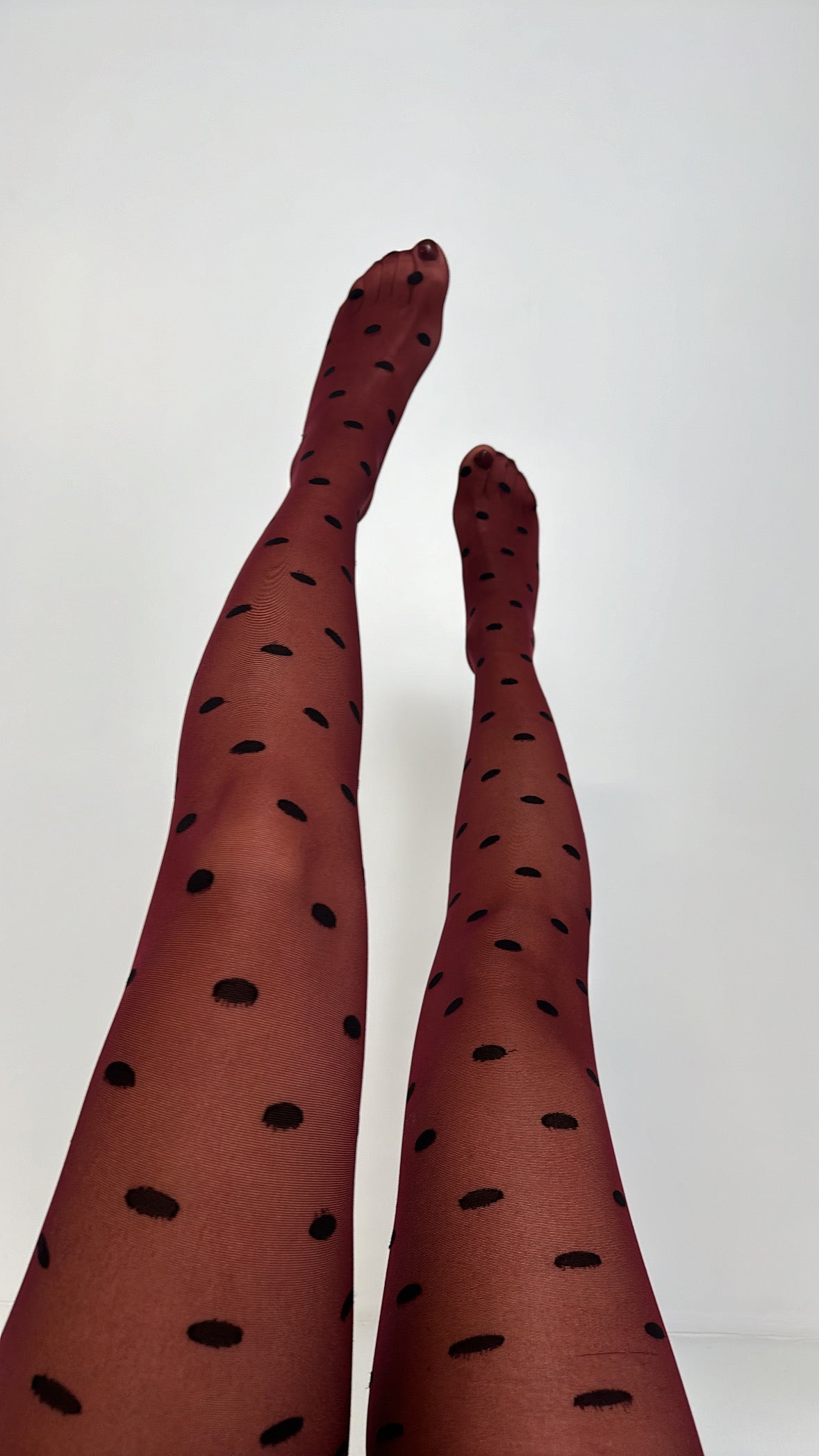 Collant POIS SIZE - BORDEAUX