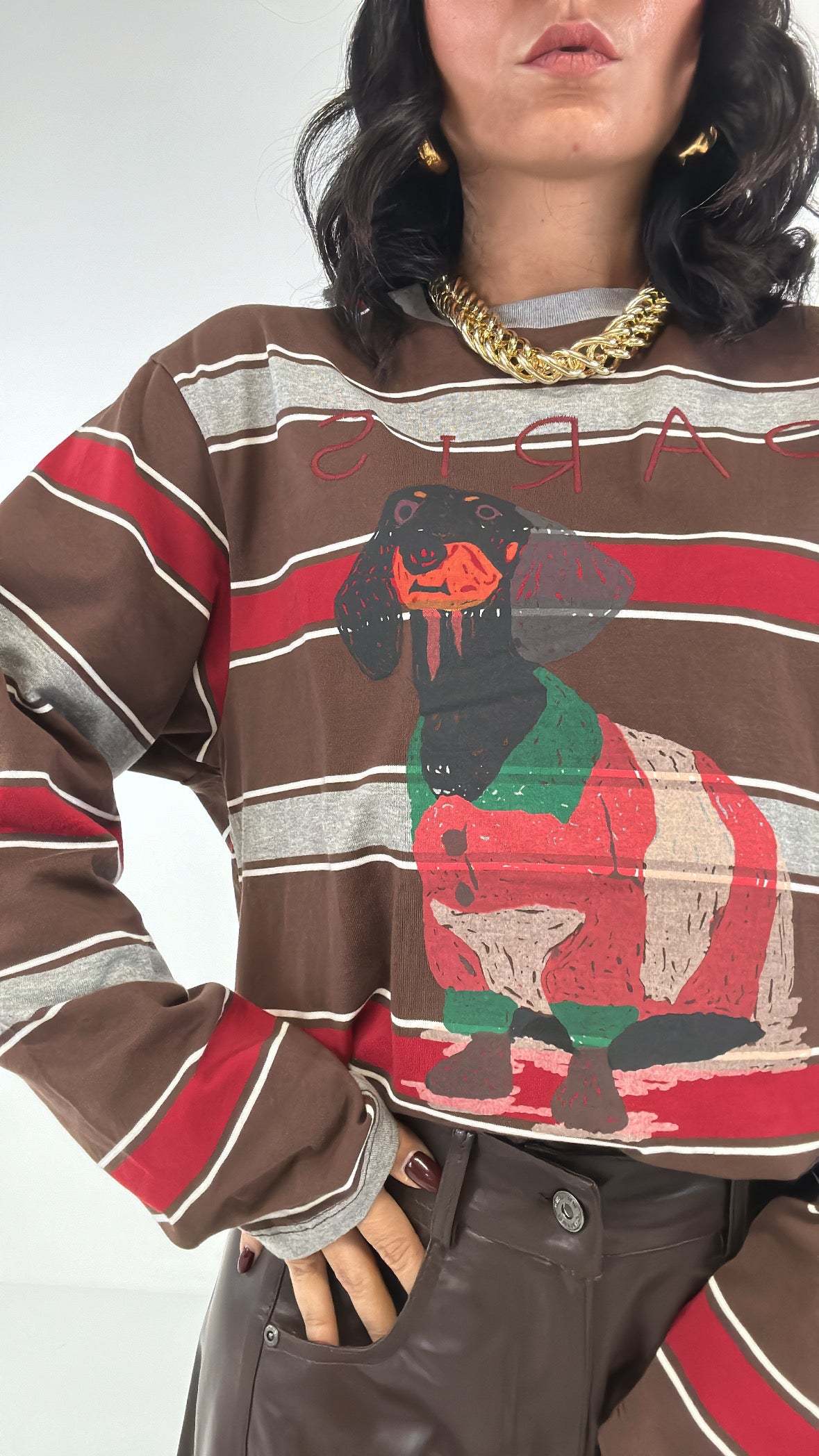 Maglia RIGHE DOG - MARRONE