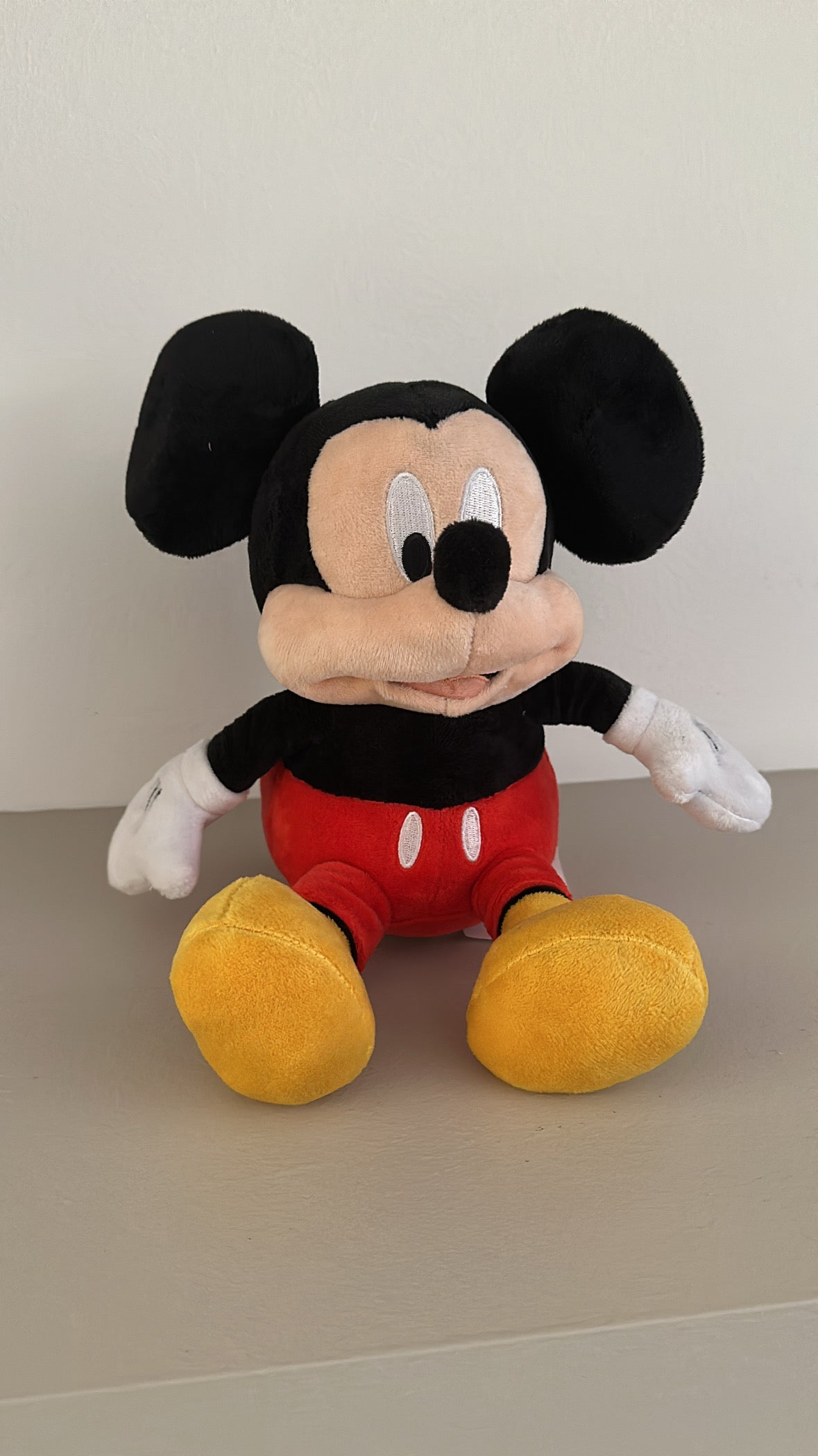 Peluche SALVADANAIO 20CM - NERO