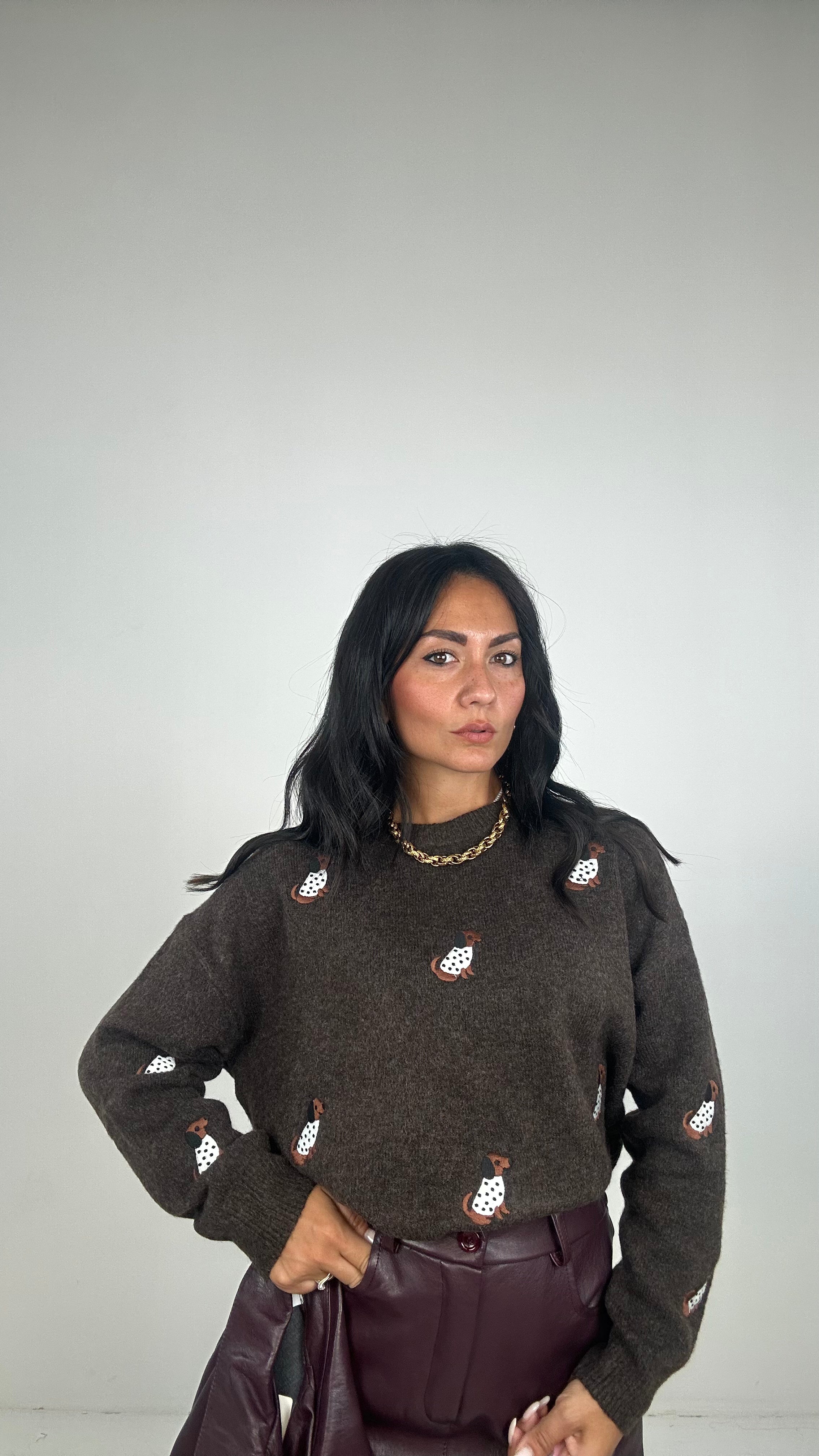 Pull BASSOTTI - MARRONE